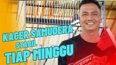 Kacer Samudera Masih Tetap Stabil Terus Setiap Minggu Nya Kalah Sakti