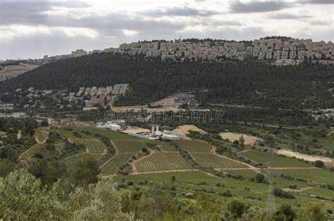 Agricultura Cerca De La Ciudad De Jerusal N Israel Foto De Archivo