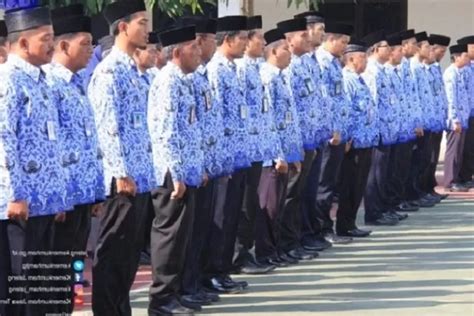 TITIK CERAH Tenaga Honorer Jadi PNS 2023 2024 Yuk Simak Penjelasan