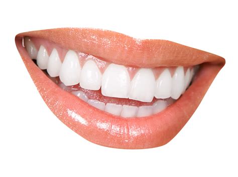 Teeth Png Transparent Background Teeth Png Stunning Free The Best