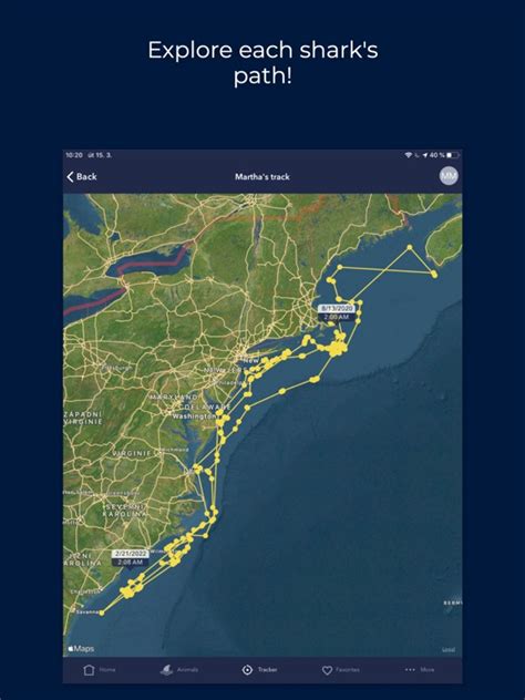 Ocearch Shark Tracker App Voor Iphone Ipad En Ipod Touch Appwereld