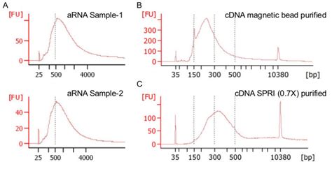 Example Bioanalyzer Plots A ARNA Size Distributions Should Be