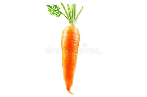 Fresh Orange Carrot With Green Leaves Isolated On A White Background