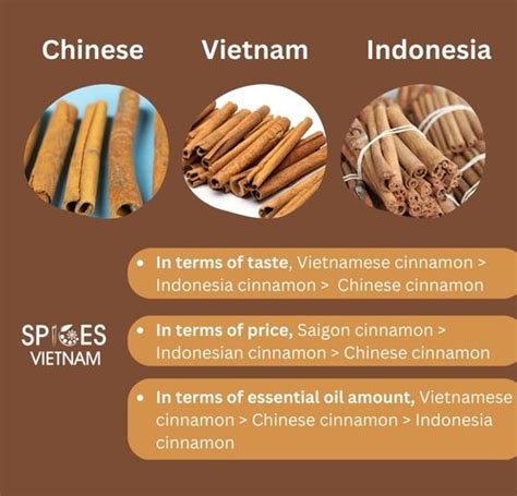 Cinnamon Types And Varieties A Comprehensive Guide For B2b Customers