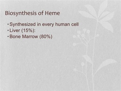 Heme Synthesis And Degradation Ppt