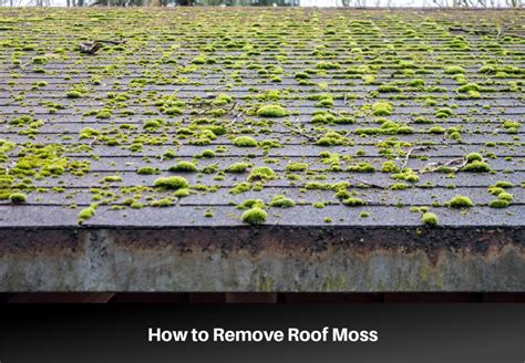 The Easiest Way To Remove Moss From A Roof