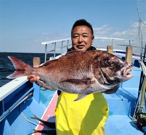 【釣果速報】33kgの巨大マダイ確保！神奈川県成銀丸で乗っ込みマダイがじゃんじゃん釣れてると話題！