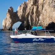 Baaitocht En De Boog Van Cabo San Lucas GetYourGuide