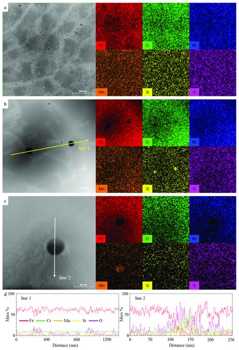 EDS Element Mapping The Cell Substructures And Precipitate Particles In