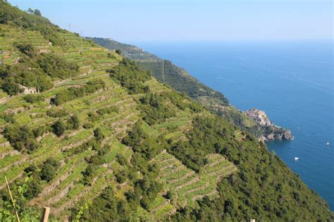 Cose Da Fare Alle Cinque Terre Esperienze Imperdibili Alle Cinque Terre