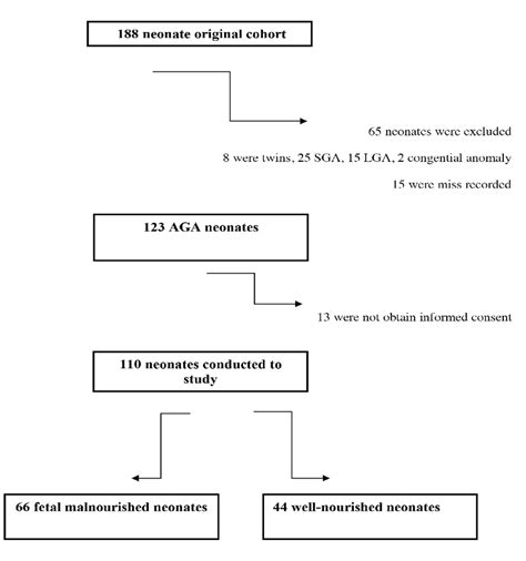 Flow Chart Of Patients Aga Average For Gestational Age Sga Small For Download Scientific