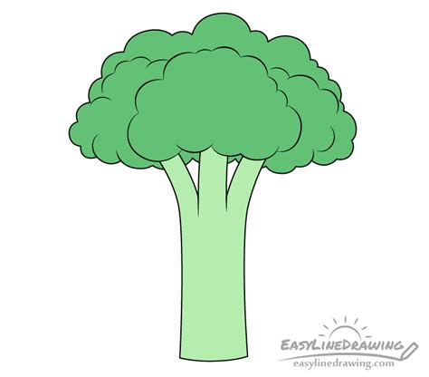 How to Draw Broccoli Step by Step - EasyLineDrawing