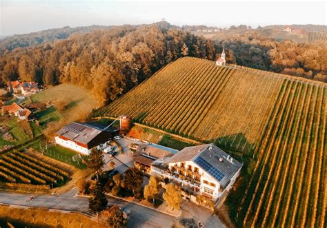 Home Buschenschank Nagl Hiebaum