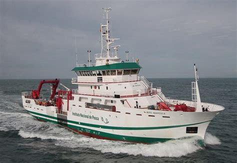 México proyecta manejo pesquero para evitar sobrepesca de especies Prensa Latina