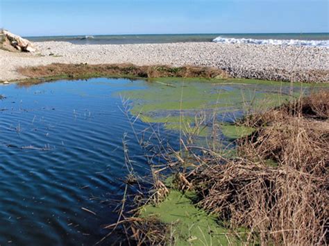 El Síndic de Greuges pide medidas ante los efectos de las inundaciones