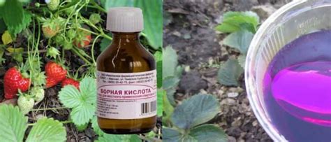 Коліжанка - жіночий інтернет-журнал