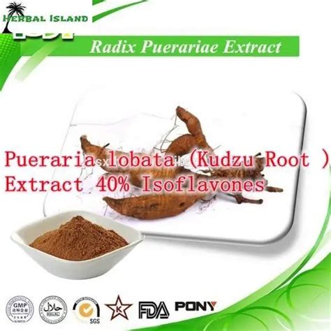 Natural Pueraria Lobata Kudzu Root Extract 40 Isoflavones Powder