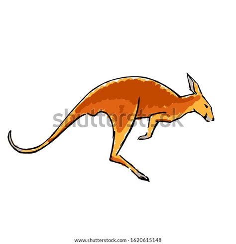 Minimal Colorful Hand Drawing Wallaby Sketch Stock Illustration