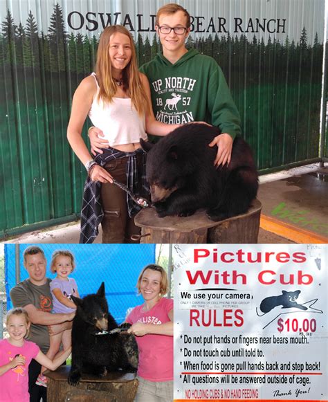 Oswald's Bear Ranch | Get Your Photos with the Cubs