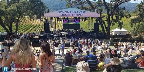 Sonoma Harvest Music Festival Sweet Experience At B R Cohn Roseville