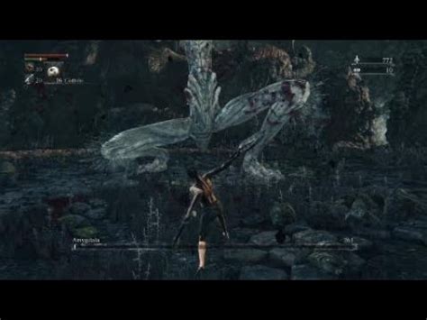 Bloodborne Bl Amygdala Naked No Damage Youtube