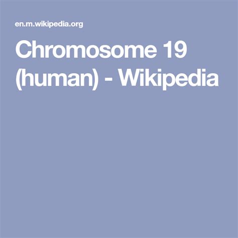 Chromosome 19 (human) - Wikipedia | Chromosome, Human, Wikipedia