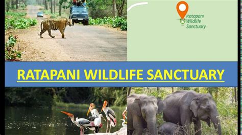 Ratapani Wildlife Sanctuary For Upsc Ssc Sbi Rbi Ibps Railways Pcs Oas