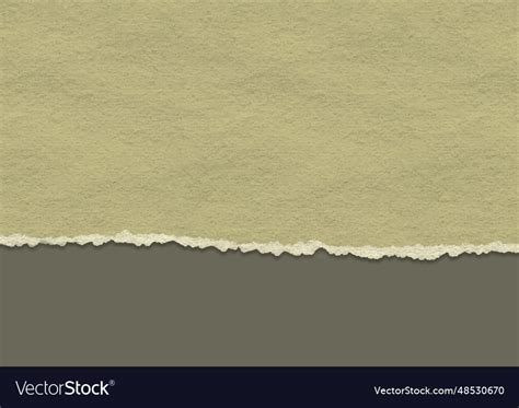 Grunge ripped paper background Royalty Free Vector Image