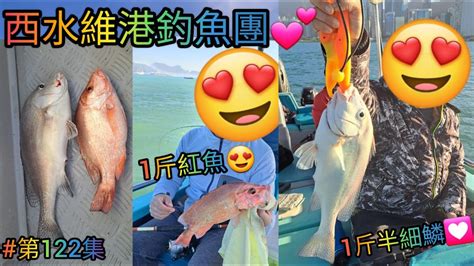 【香港艇釣精華】x 第122集 西水維港釣魚魚獲vlog ｜一斤半細鱗｜一斤紅魚｜䱛｜暗釘魚｜雜魚｜釣魚日期 17 11 2023 釣魚