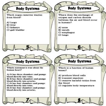 Human Body Systems Task Cards By Reincke S Education Store TpT