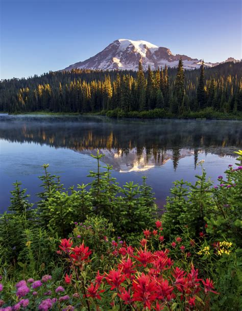 15 Most Gorgeous And Accessible Lakes Near Mt Rainier Wild