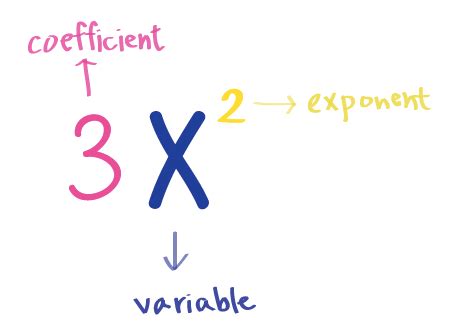 Factoring Monomials - Examples & Practice - Expii