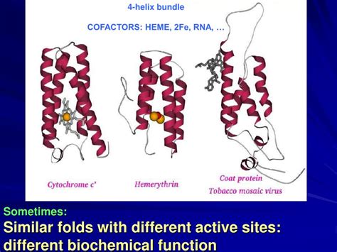 PPT PROTEIN PHYSICS LECTURE 1 Introduction Overview PowerPoint