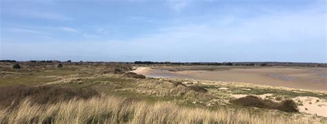 Parc Naturel R Gional Des Marais Du Cotentin Et Du Bessin Guide De