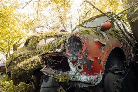 Outdoors Moss Vehicle Car Plants Wreck HD Wallpaper Rare Gallery