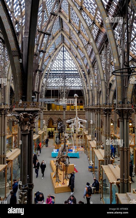 The Oxford University Museum of Natural History Neo-Gothic architecture ...