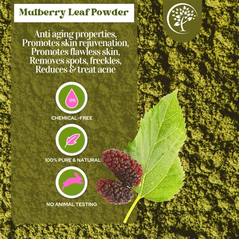 Mulberry Leaf Powder-For Cosmetic Use - Green Herbology