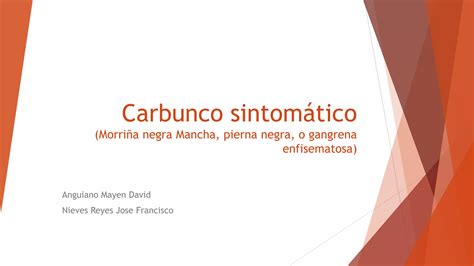 Carbunco Sintom Tico Ppt