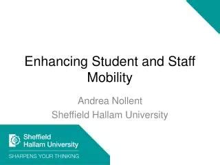 Ppt Rollators With Seats Enhancing Mobility And Independence For