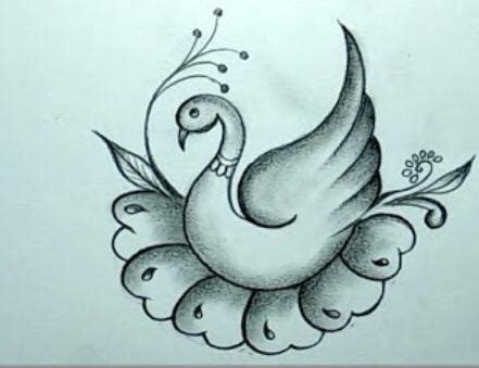 Swan Drawing