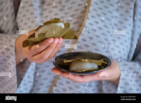 Hands Holding Japanese Kashiwa Mochi Stock Photo Alamy