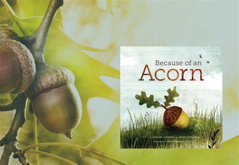 Storytime: Because of an Acorn - Westmoreland County Historical Society