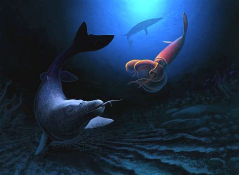 Descubren Una Nueva Especie De Mosasaurus Gigante En Marruecos En 2023