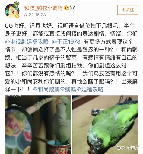 于正新剧《当家主母》疑似虐猫，画面真实令人不适，剧组发文回应 知乎