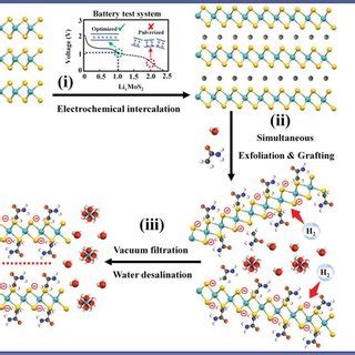 A Tem Images Of Exfoliated Mos Amide Nanosheets B Photographs Of