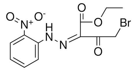 4 BROMO 2 2 NITRO PHENYL HYDRAZONO 3 OXO BUTYRIC ACID ETHYL ESTER