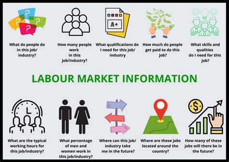 Labour Market Information BIGS