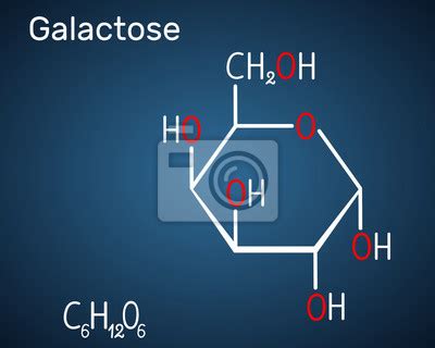 Galactose Alpha D Galactopyranose Milk Sugar Molecule Cyclic Posters