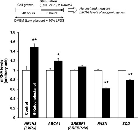 Ketocholestanol Alters Lipogenic Gene Expressions In Hepg Cells