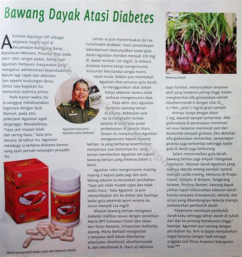 Khasiat Bawang Dayak ADVETORIAL 02